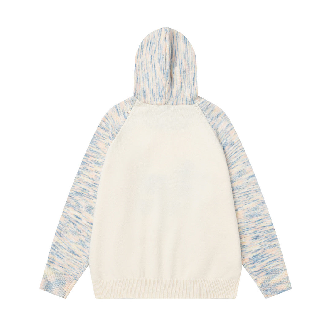 Dachshund Applique Raglan Hooded Knit Sweater