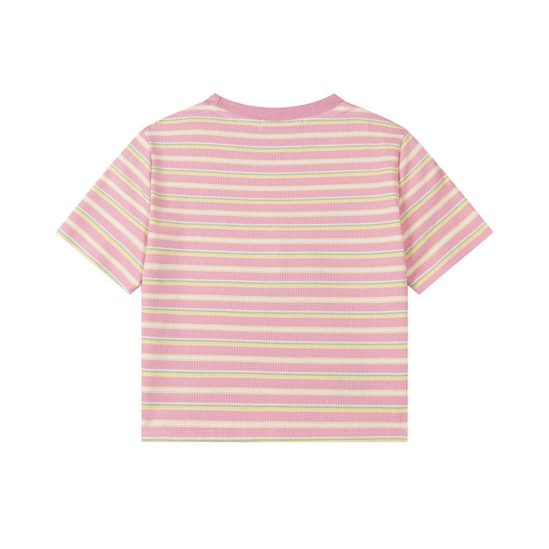 Pastel Stripe Cropped Tee Cat Embroidery